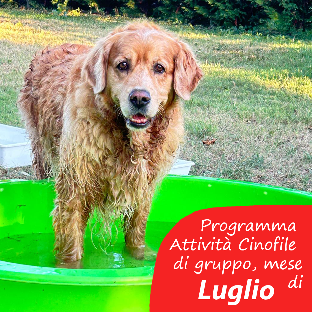 Slide Copertina Luglio 2025