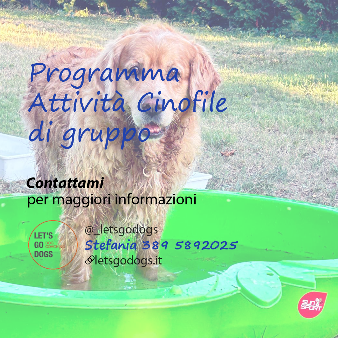 Slide Finale Luglio 2025