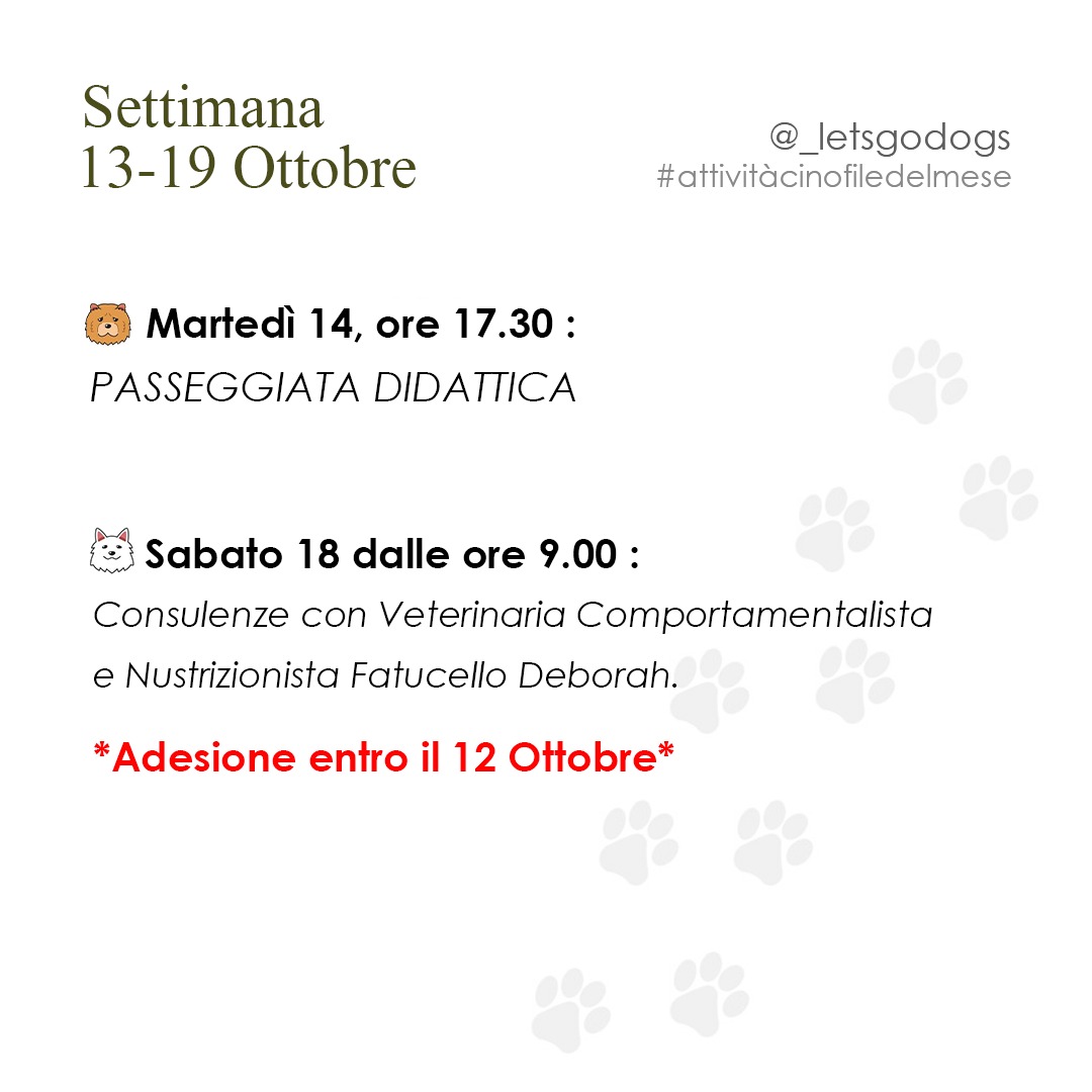 Slide 3 Ottobre 2025