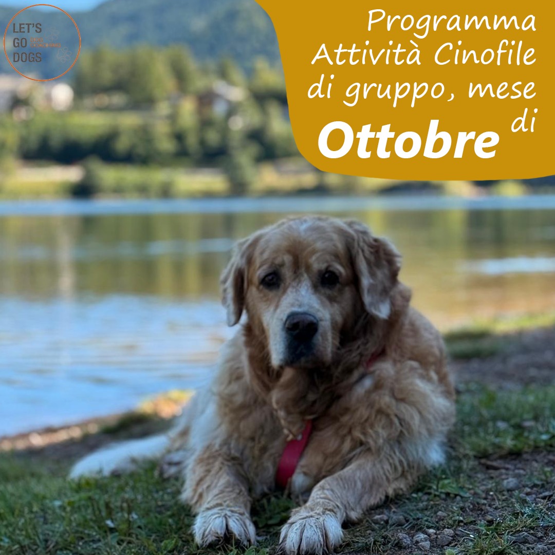 Slide Copertina Ottobre 2025